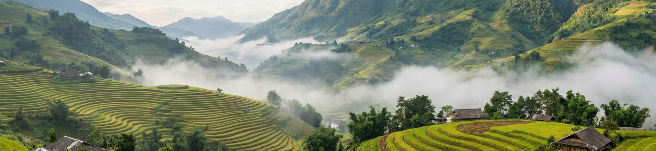 Vietnam Fog