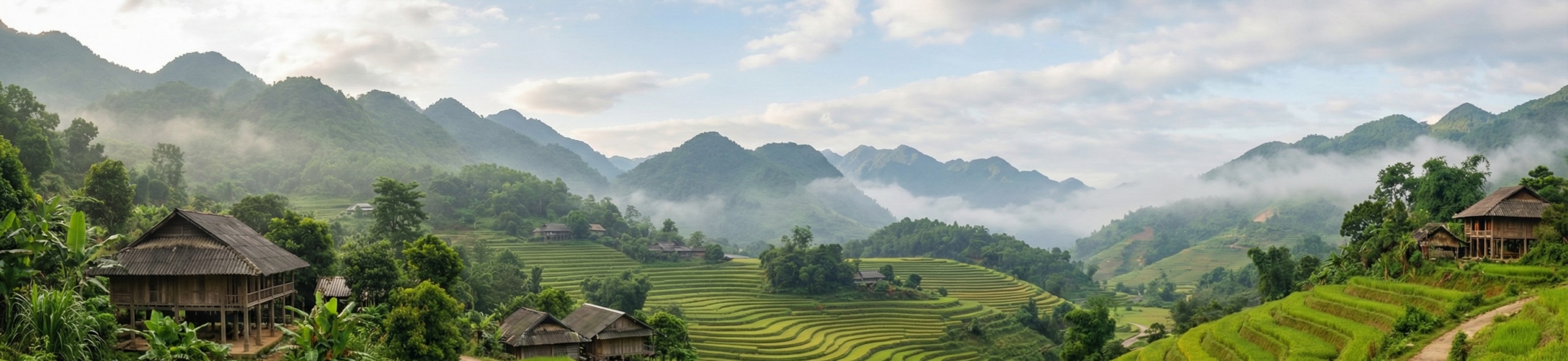 Vietnam Hillside