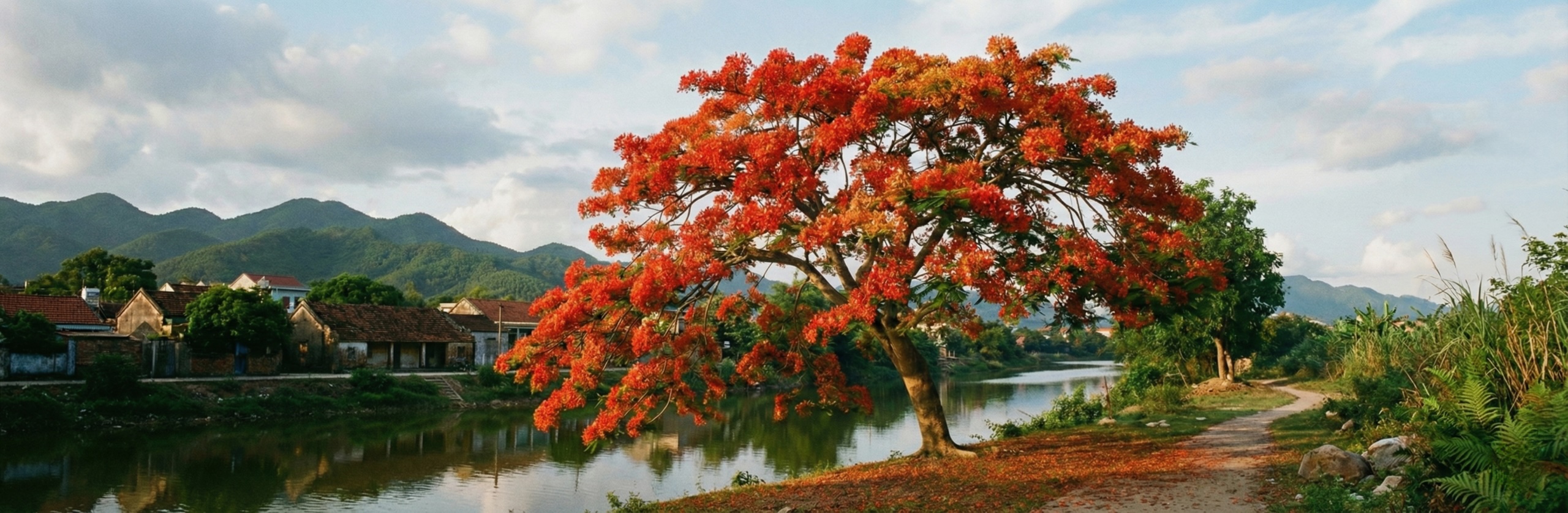 Vietnam Red Tree